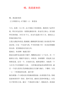哦，我是新来的