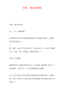 寻找，逝去的身影