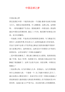 中国足球之梦