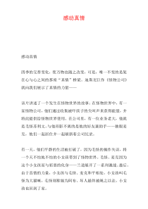 感动真情