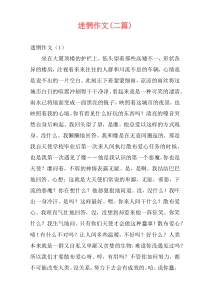迷惘作文(二篇)