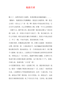 畅游月球