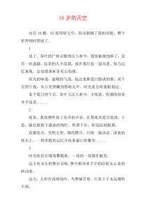 16岁的天空