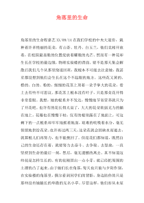角落里的生命