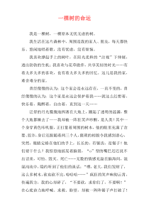 一棵树的命运