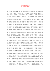 贝壳的伟大
