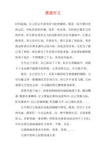 愿望作文
