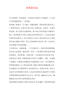 灰色的自由