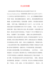 失去的容颜