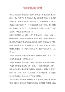 实践是成功的阶梯