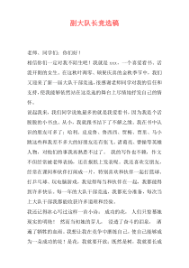 副大队长竞选稿