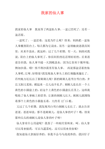 我家的仙人掌