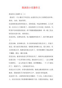 我家的小花猫作文