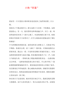 小狗“阿喜”