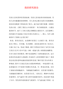 我的研究报告