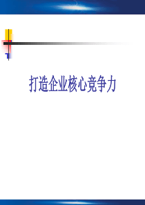 打造企业核心竞争力(精)
