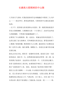 长满高大梧桐树的中山陵