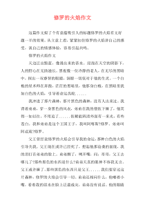 修罗的火焰作文