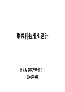 瑞兴科技组织设计报告