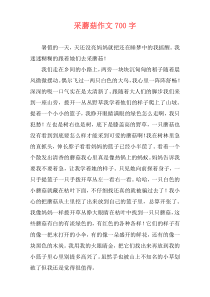 采蘑菇作文700字