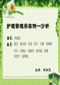 护理管理学案例一分析