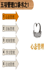 砖头书书之一：心态管理