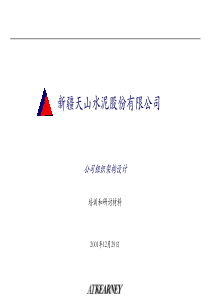 科尔尼－天山组织架构设计