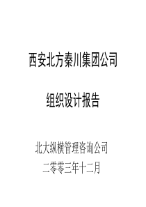 秦川组织结构设计报告