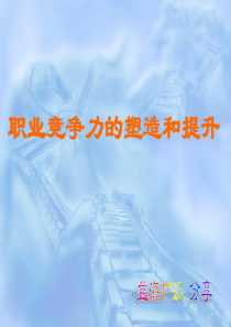 新年大礼包4：职业竞争力的塑造和提升