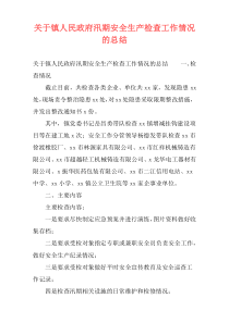 关于镇人民政府汛期安全生产检查工作情况的总结