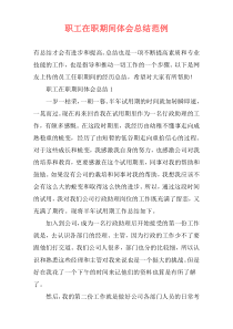 职工在职期间体会总结范例