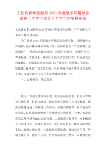 文化体育和旅游局2021年度城乡环境综合治理上半年工作及下半年工作安排总结