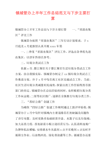 镇城管办上半年工作总结范文与下步主要打算