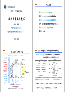 光电化学课件-电化学研究方法第6讲-旋转圆盘电极技术