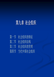 第9章社会组织