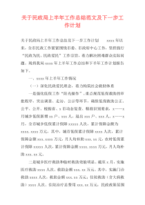 关于民政局上半年工作总结范文及下一步工作计划