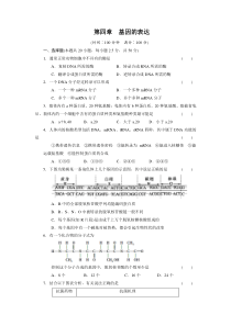 高三生物第一轮复习必修二：第四章 单元检测