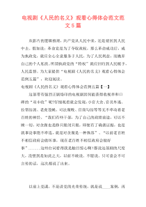 电视剧《人民的名义》观看心得体会范文范文5篇