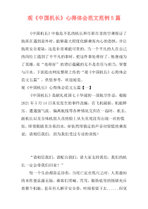 观《中国机长》心得体会范文范例5篇