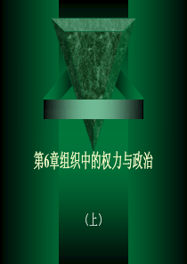 第6章组织中的权力与政治(上)