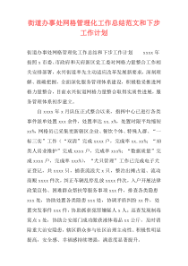 街道办事处网格管理化工作总结范文和下步工作计划