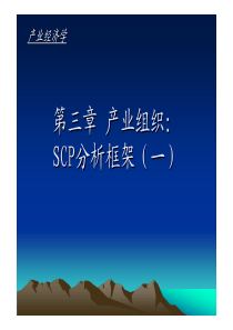 第三章产业组织SCP范式