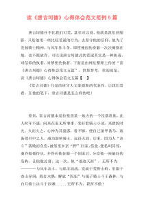 读《唐吉坷德》心得体会范文范例5篇