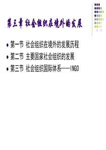 第三章社会组织在境外的发展