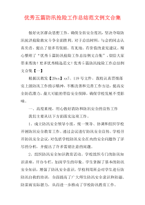 优秀五篇防汛抢险工作总结范文例文合集