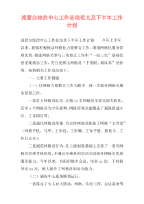 流管办综治中心工作总结范文及下半年工作计划