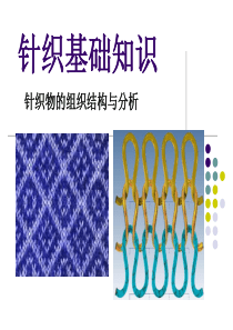第三章针织织物组织结构