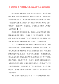 公司团队合作精神心得体会范文与感悟范例