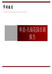 房地产市场调研报告ppt课件
