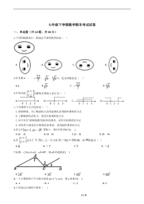广西河池市2021年七年级下学期数学期末考试解析版